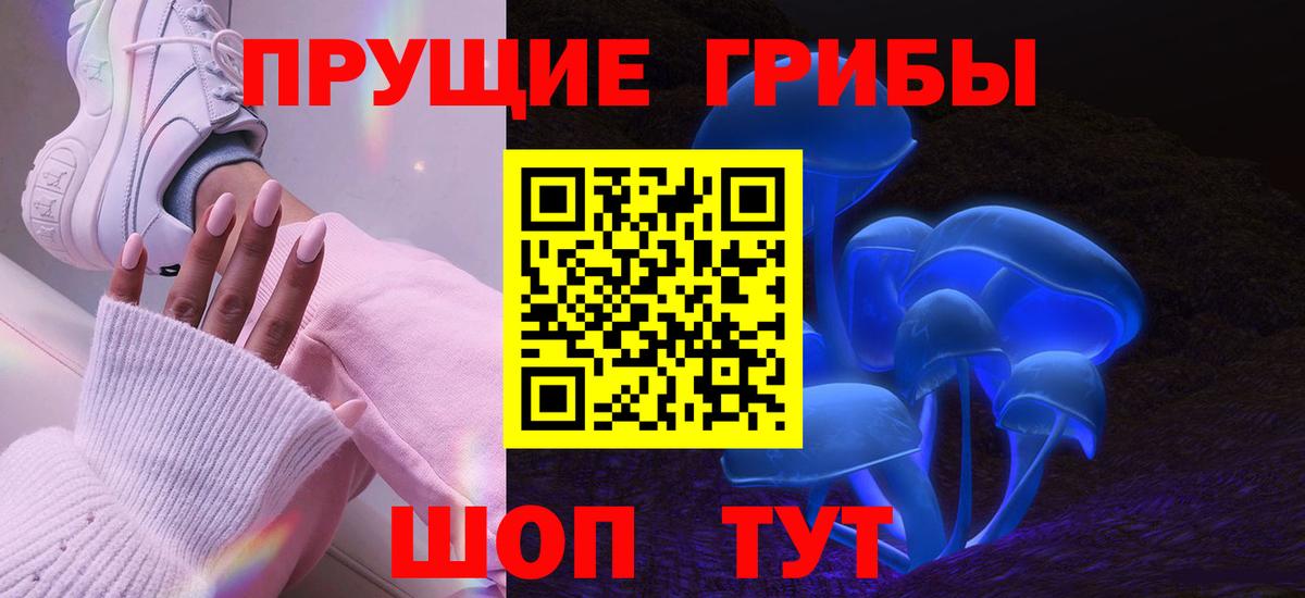Подольск  Псилоцибиновые грибы Psilocybe  Вход с VPN  Галлюциногенные грибы мухоморы 